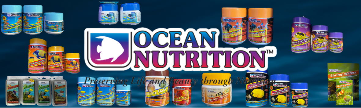Ocean nutrition banner.png